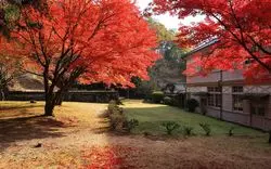 【2025年版】岡山の絶景紅葉スポット！エリア別に10選一挙ご紹介