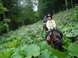 【北海道】乗馬で未体験観光を満喫！筆者おすすめスポット6選