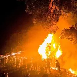 【愛知・西尾】天下の奇祭！鳥羽の火祭りへ行こう！