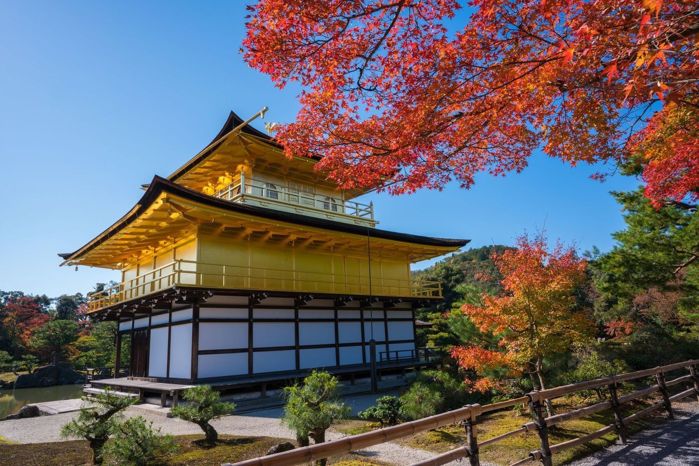 の画像