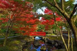 【2025年】佐賀の紅葉名所11選！王道の御船山から穴場まで