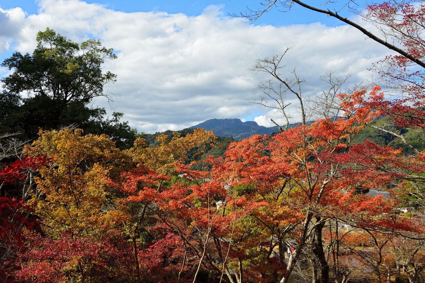 【2025年】佐賀の紅葉名所11選！王道の御船山から穴場までの画像
