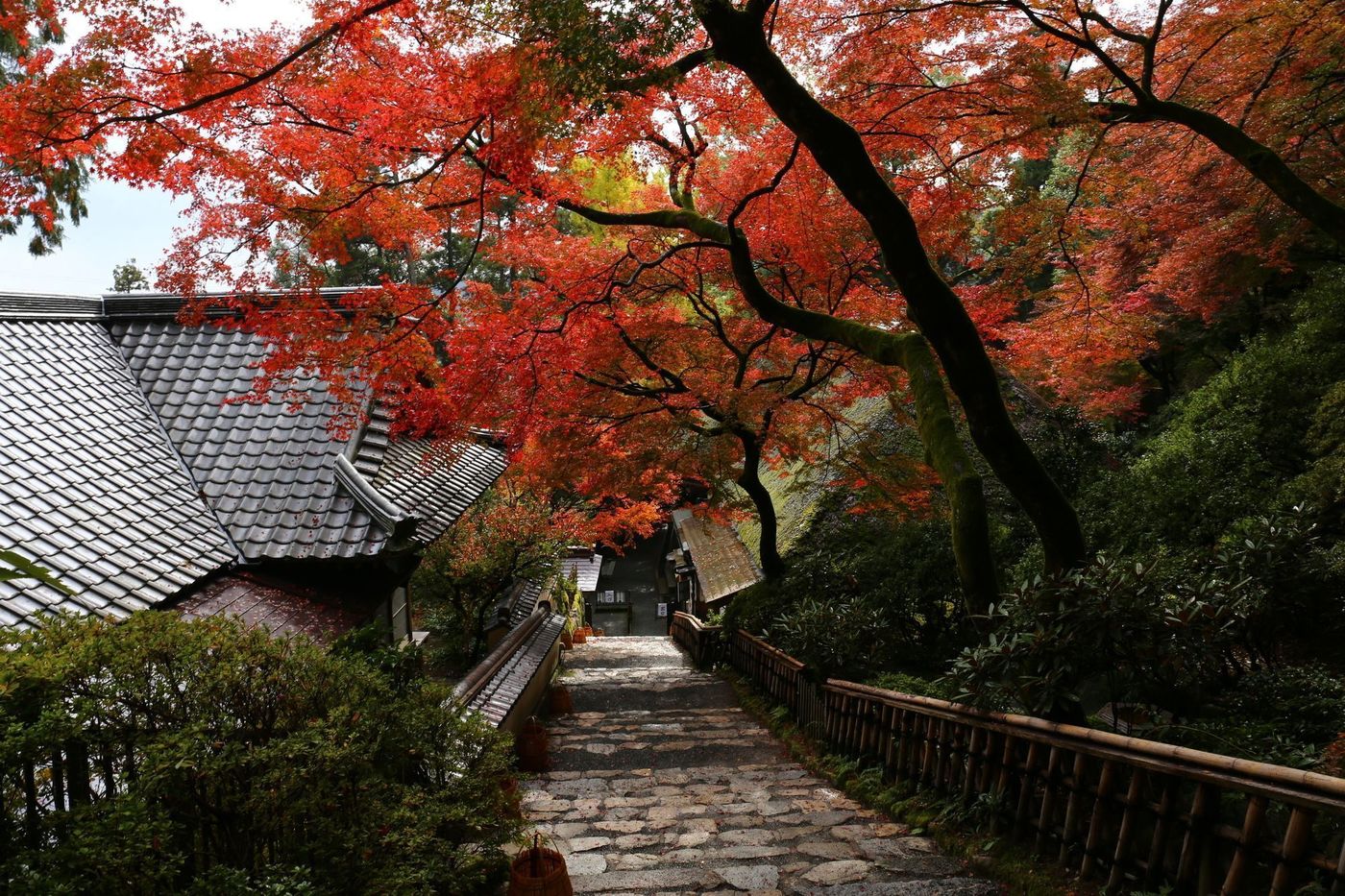 【2025年】佐賀の紅葉名所11選！王道の御船山から穴場までの画像