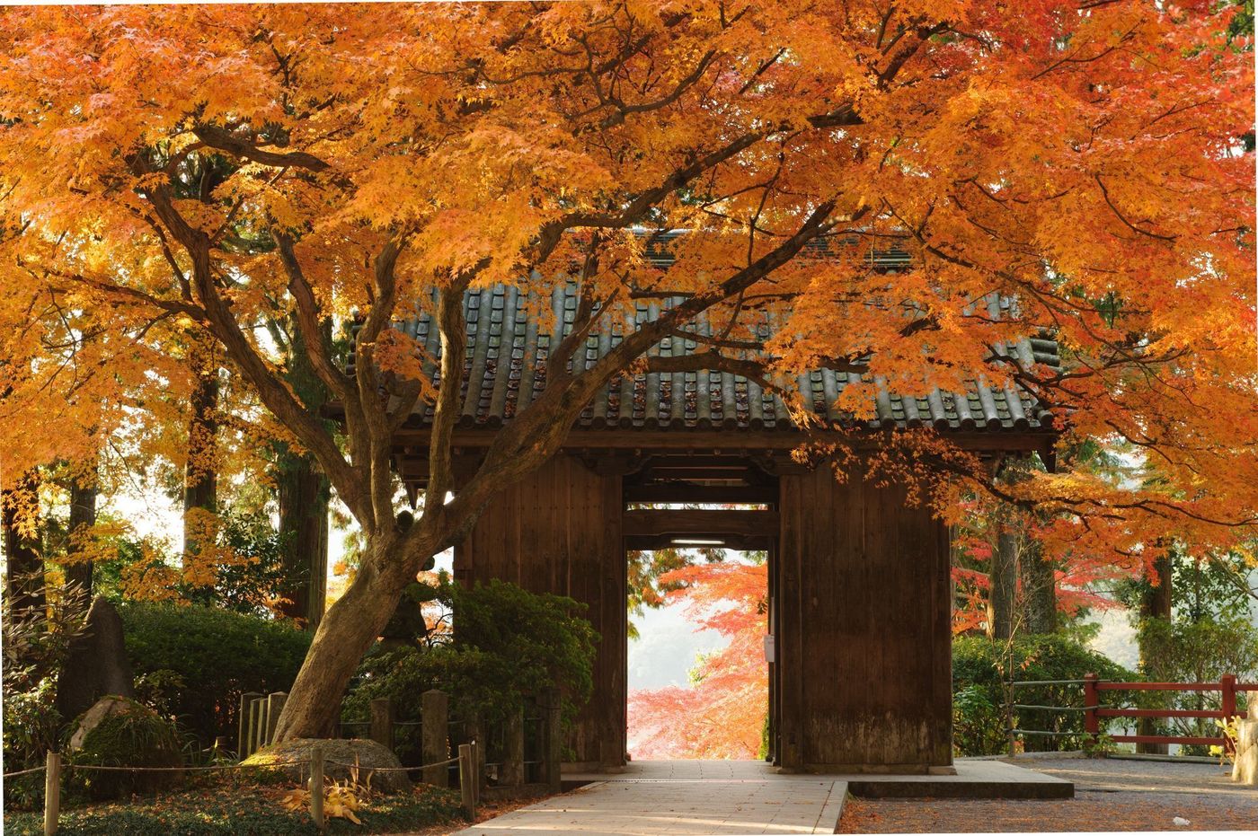 【2025年】佐賀の紅葉名所11選！王道の御船山から穴場までの画像