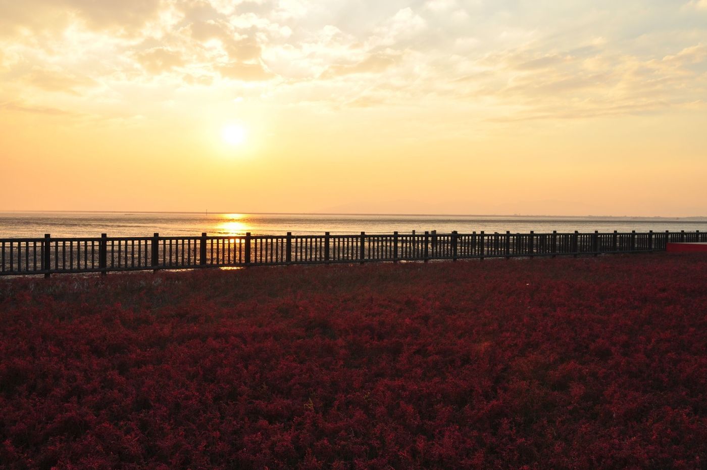 【2025年】佐賀の紅葉名所11選！王道の御船山から穴場までの画像