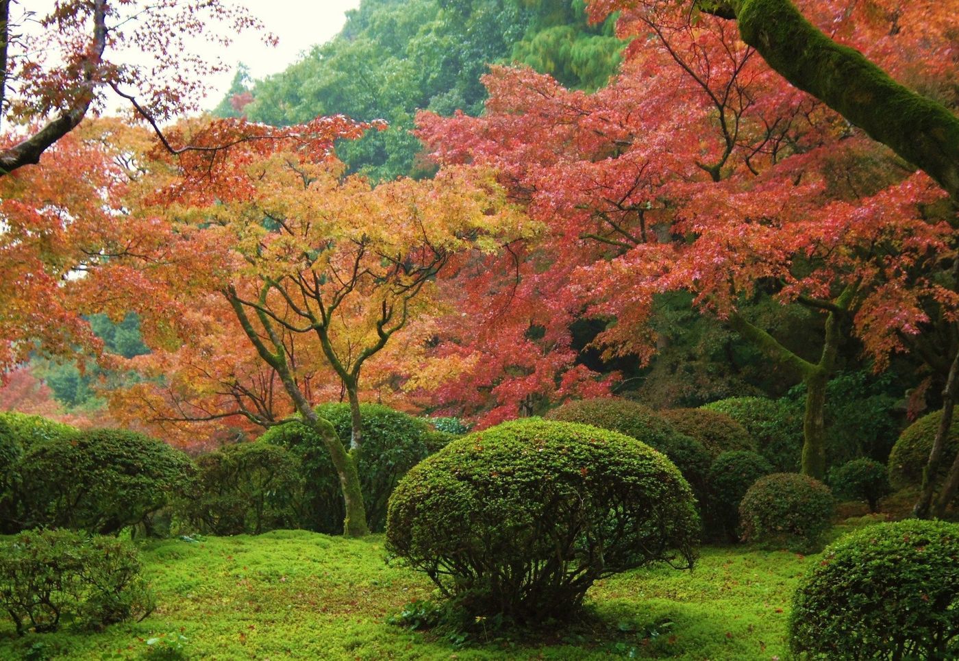 【2025年】佐賀の紅葉名所11選！王道の御船山から穴場までの画像