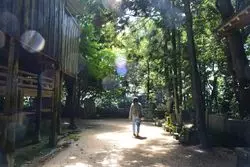 【兵庫】日本の始まりの地！？国生みの島でパワースポット巡り