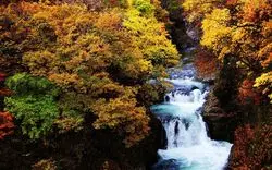 【仙台の紅葉】名所から穴場まで！おすすめ絶景紅葉スポット10選