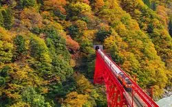 【2020年】黒部峡谷の人気紅葉スポット！秋の絶景を見に行こう