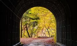 【ユーシン渓谷の秋】知る人ぞ知る隠れた紅葉名所へ！