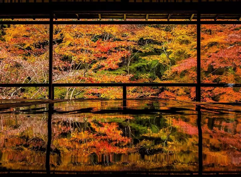 7. 【京都市左京区】秋にはライトアップされた紅葉を楽しめる夜の観光地「瑠璃光院」 1枚目