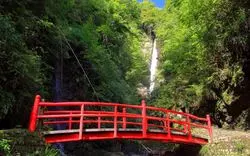【箱根の滝】絶景に癒されて！箱根のおすすめ滝スポット6選
