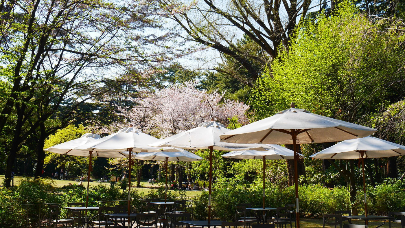 【東京】庭園×洋館×アートを堪能できる東京都庭園美術館の画像