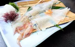 函館の【イカ】は北海道の恵み♪おすすめのイカ料理屋8選☆