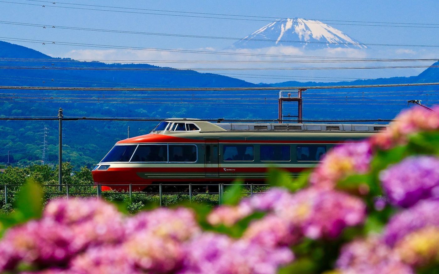 の画像