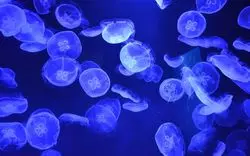 すみだ水族館で素敵なデートを！筆者厳選おすすめスポットをご紹介♡