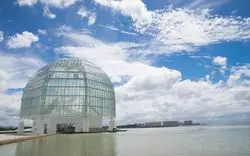 葛西臨海水族園はマグロが有名！楽しめるポイントを5つ紹介します♪