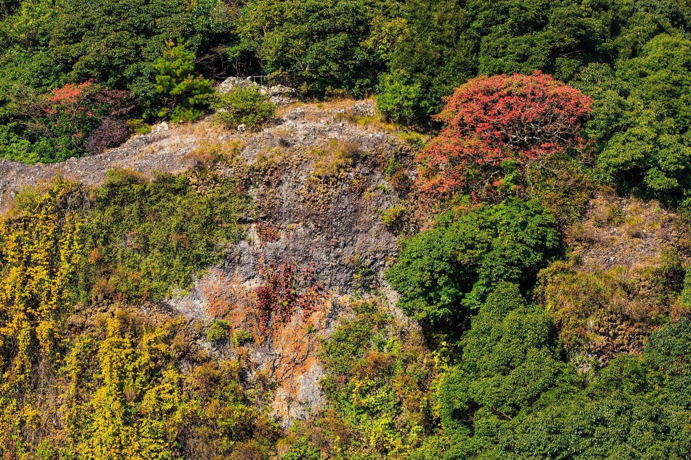 【2025年】佐賀の紅葉名所11選！王道の御船山から穴場までの画像
