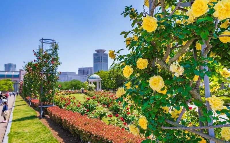 熊本のドライブスポット6. 熊本県農業公園カントリーパーク 1枚目