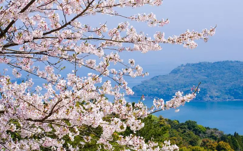 16. 知林ヶ島 1枚目