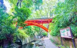 【完全ガイド】東京の癒しスポット！「等々力渓谷」の知られざる魅力