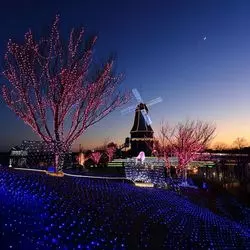 茨城のイルミネーション3選☆都心を少し離れた穴場へ♡