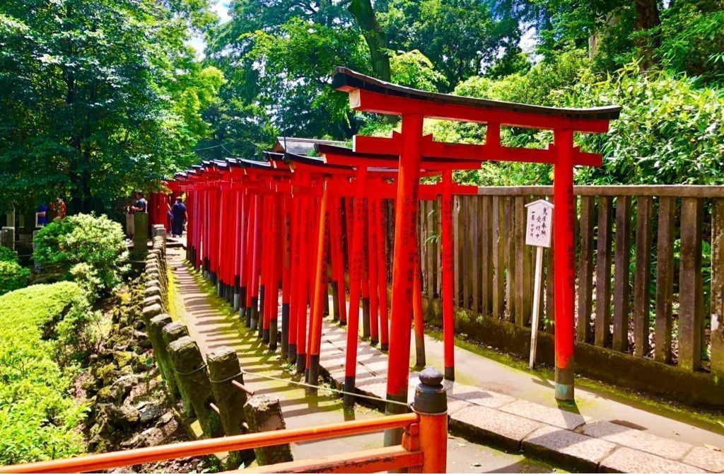 の画像