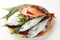 【新潟】海鮮グルメを食べ尽くす♪市場から居酒屋までエリア別8選