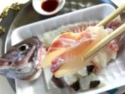 釣った魚はすぐお刺身に！和歌山マリーナシティの海洋釣り堀に挑戦