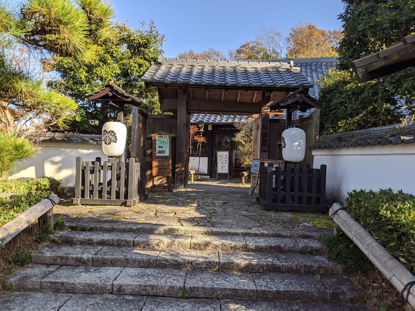 の画像