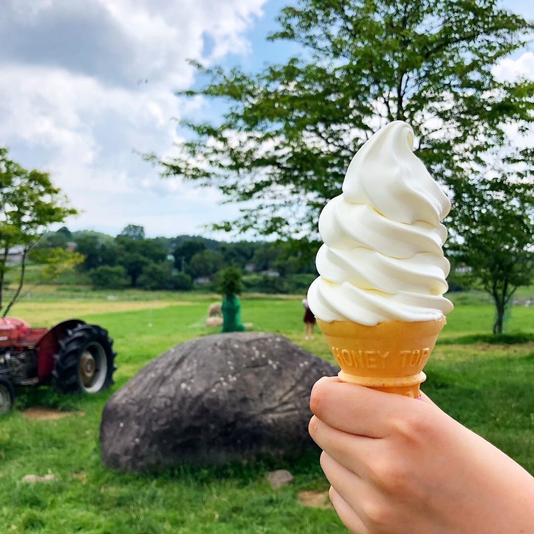 の画像