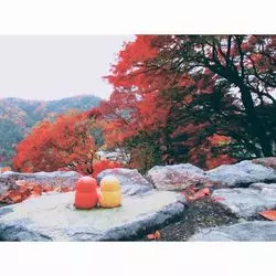 【おでかけ好きユーザーおすすめ！】だるまで有名なお寺！？