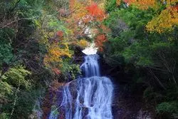 【2020年】宮崎の紅葉で秋を満喫♪おすすめ絶景スポット10選