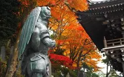 高尾山の紅葉を徹底解剖！見ごろや周辺スポットまでご紹介♪