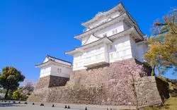 城下町、小田原でおすすめドライブスポット10選♪