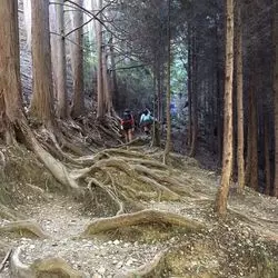【大阪】山ガールへのすゝめ◎登山初心者におススメの岩湧山へGO！