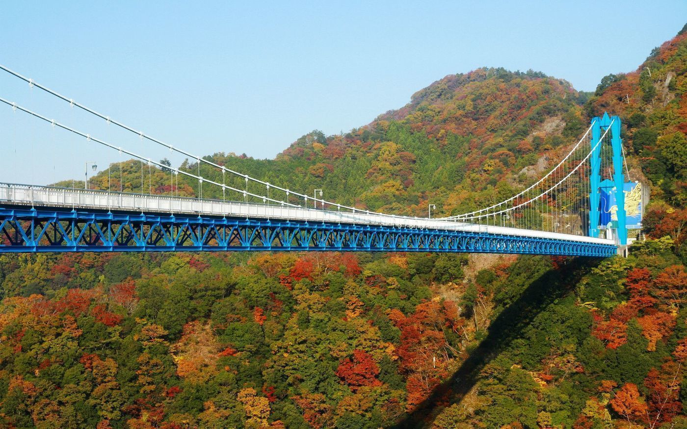 の画像