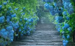 雨の日でも楽しめる鎌倉のおすすめスポット7選！デートにぴったり