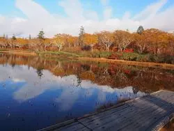 札幌発、日帰りでニセコの秋を満喫しよう！紅葉の穴場スポットを紹介