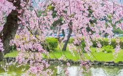 子連れにもデートにもぴったり◎千葉公園でのんびり楽しい1日を♪