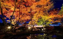【長崎×紅葉】ここだけは外せない！筆者おすすめ絶景スポット7選☆