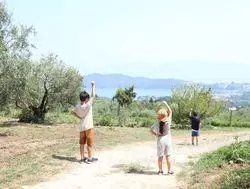 【岡山】日本のエーゲ海 牛窓の“映え”スポット！ 牛窓オリーブ園の魅力！