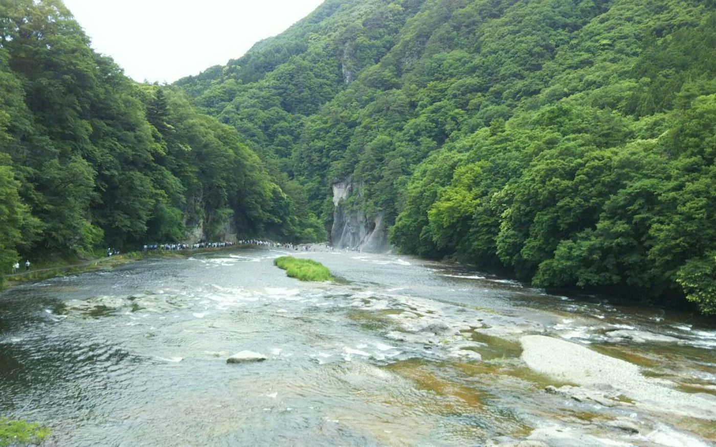 の画像
