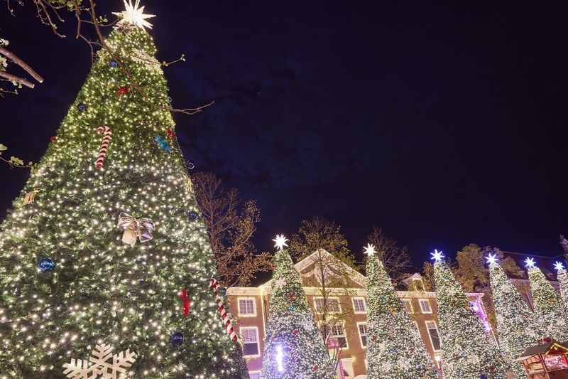 クリスマスは家族と過ごしたい 本場さながらの 光の街のクリスマス で感動体験を Aumo アウモ