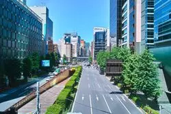 平日ランチで銀座・新橋エリアを満喫！おすすめ4選♪