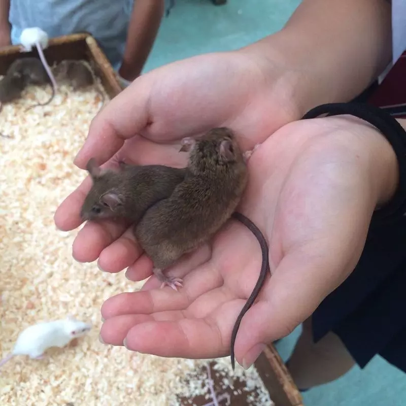 6. 子どもから大人まで楽しめる神奈川の観光スポット「野毛山動物園」 2枚目