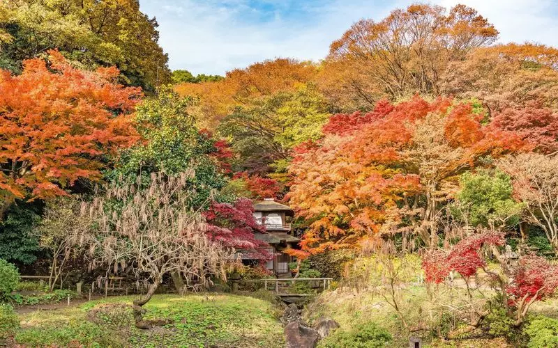 7. 神奈川の穴場観光スポット！わびさびを感じる「三溪園」 2枚目