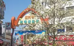【高円寺でデート！】古着から絶品グルメまで！超おすすめな10選をご紹介♪
