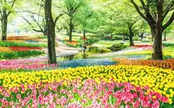 休日は立川周辺の公園でまったり癒されよう♡おすすめの公園6選！