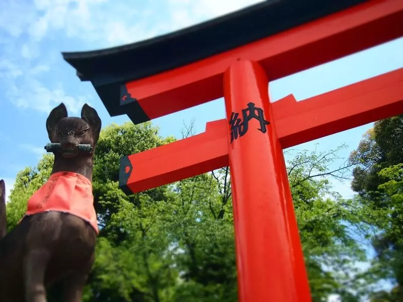 北海道から京都へは飛行機or新幹線or電車？ 1枚目